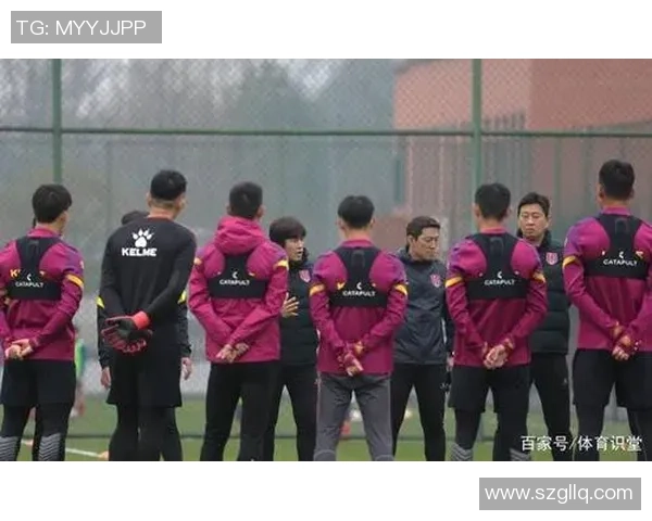 成都网球队实力揭秘：网球巨献背后的训练与奋斗故事