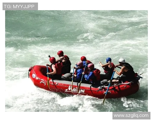 武汉排球队阵地战革新探索新战术与团队协作的深度融合